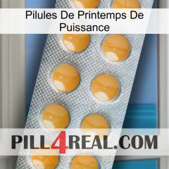 Power Spring Pills levitra1